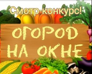 Огород на окне