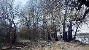 ПриРОДа - оЖИВАет !!!