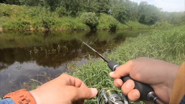 Голавль на спиннинг в июне после окончания запрета.