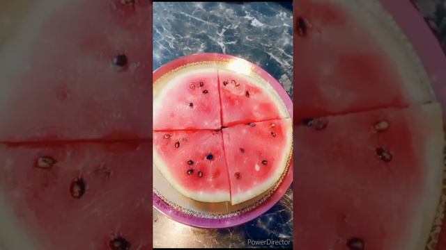 2023: ОТ РОЖДЕСТВА ДО ДЕКАБРЯ, ОДИН ГОД НА ПЛАНЕТЕ ЗЕМЛЯ 🌍 смотреть онлайн