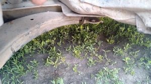 КАК СНЯТЬ ПЕРЕДНИЙ РЫЧАГ Kia Spektra