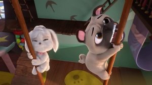 44 Котёнка | Сезон 2 - Соревнование на звание лучшей собаки [КЛИП]