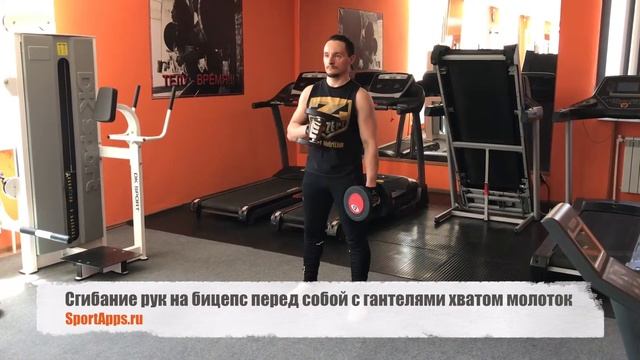 Сгибание рук на бицепс перед собой с гантелями хватом молоток смотреть онлайн