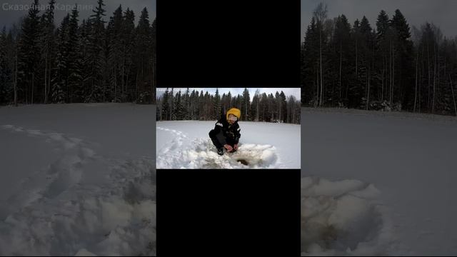 Ловля окуня на блёсны от Mr. Musurok