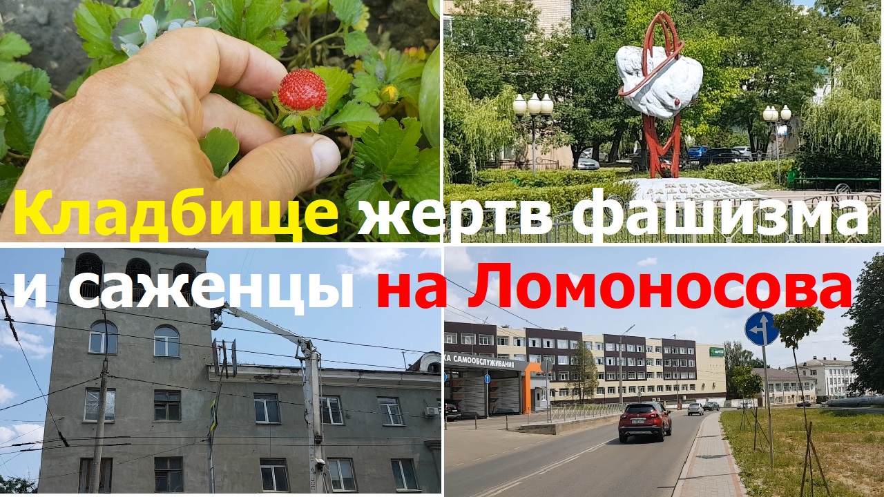 Кладбище лепешкино орел схема