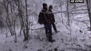 Охота на норку с лайками. Охота с лайкой . 2018