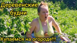 ПЕРВЫЙ УРОЖАЙ УРА. Деревенские будни. Купаемся на огороде!!!
