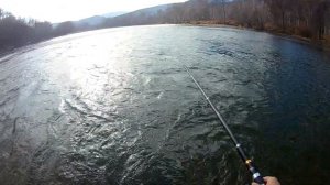 Рыбалка на Тумнине. Хариус осенью. Закрытие сезона 2018.