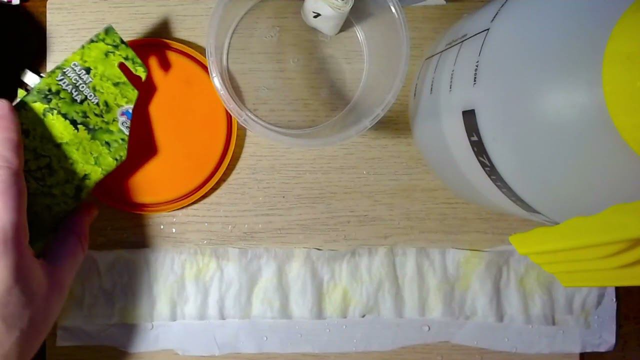 Как посадить и прорастить семена способом "Улитка" смотреть онлайн