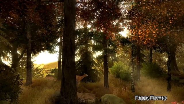 Гарри Поттера и Философский камень. смотреть онлайн