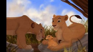 LION KING.Musti.Animash.NALA, KIARA. SARABI. SARAFINA,PREGNANT-БЕРЕМЕНЫ:)