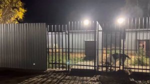 Питомник алабаев СУРДАН КАРАШ (октябрь 2022)