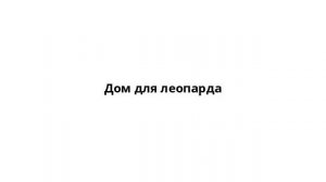 Дом для леопарда