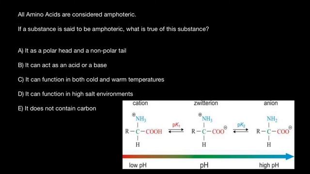 Why Are Amino Acids Called Amphoteric?