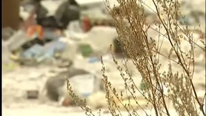 Люди живут на помойке