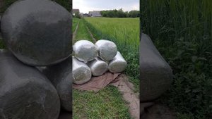 Сенаж своими руками.