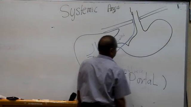 GIT Block Lec4 Prof Wagih "female" part 5 end смотреть онлайн