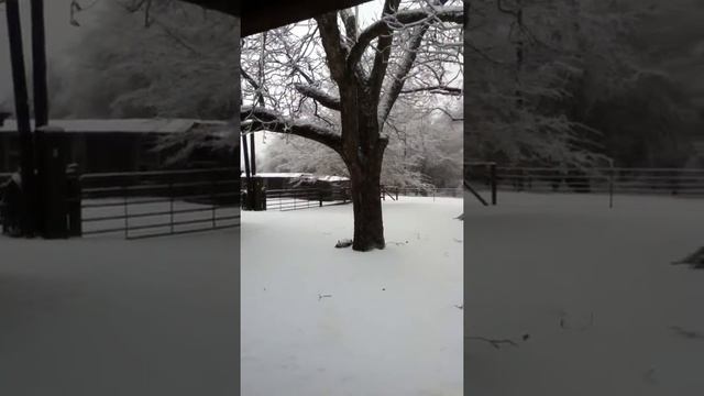 Winter Icepocalypse February 13th noon update