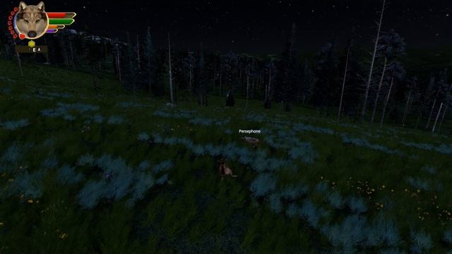 Discovering the Forest of FAWNS?! ? WOLF QUEST: TWIN MOONS • #63 смотреть онлайн
