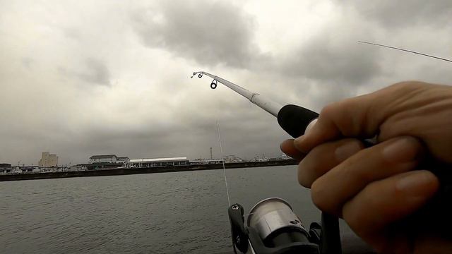 ダイソー釣具のちょい投げ仕掛けで魚釣り【釣り車中泊】福島県松川浦新漁港202111