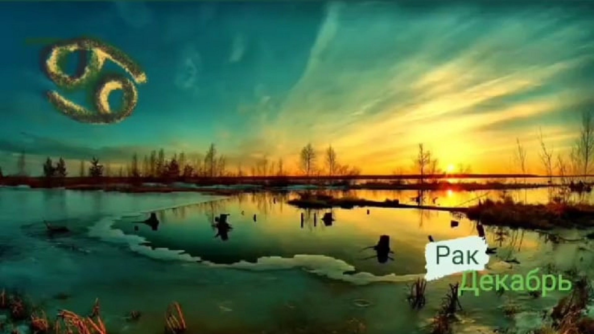 Весы инфографика. Рак декабрь 2023 прогноз. Курс доллара график. Гороскоп для весов на 2022 год. Лев.