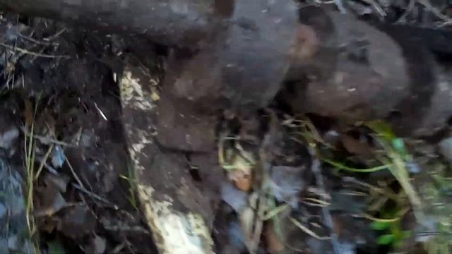 Коп металла на второй день после озера прицеп полный. смотреть онлайн