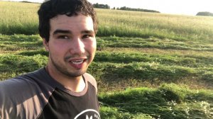 Крадемся к NO-TILL, непродуктивный скот и просто скоты...