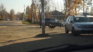 АВТОПУТЕШЕСТВИЕ НА БУСЕ ОСЕНЬЮ. ВАНЛАЙФ ПУТЕШЕСТВИЕ. НА АВТОДОМЕ ПО РОССИИ.