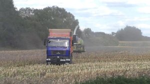 Уборка кукурузы на силос в деревне Нестерки