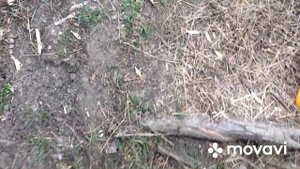 ЛОВЛЯ НА ПАУК В МИНИ РЕЧКЕ. КАК ЛЕГКО НАЛОВИТЬ ЖИВЦА.