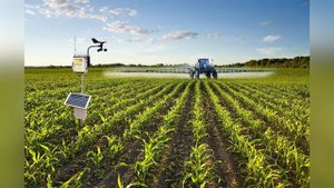 Цифровые технологии в сельском хозяйстве