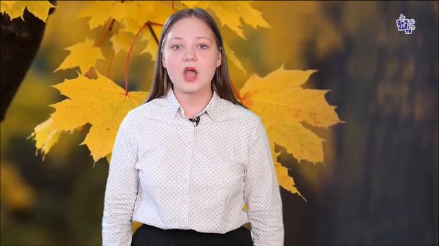 Первушина Вера  МАОУ «СОШ №24 г. Челябинска»