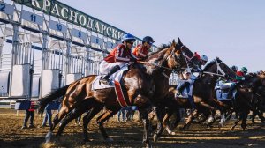 Краснодарский ипподром ПРИЗ ФРАГРАНТА 17 августа 2024г.