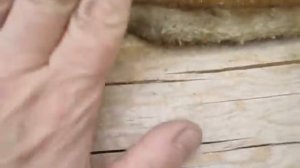 Ошибки при укладке межвенцового утеплителя в срубе