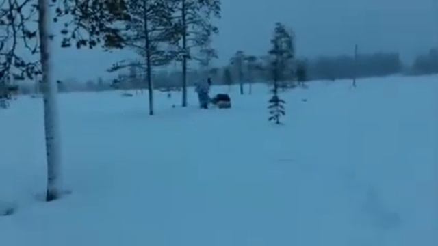 Охота далеко в тайге на Мотособаке 200 км Новогодние каникулы смотреть онлайн