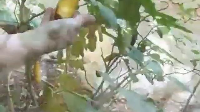 Эйлат (Израиль). Видеопрогулка