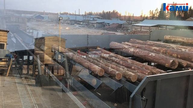 Как работает линия сортировки бревен KRAFTER LLS на 24 кармана. Процесс на производстве