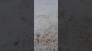 Переделка и установка сидений Skoda A5  в Renault Logan.