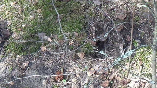 Поисковый сборник часть 3. Путешествие по золотому кольцу