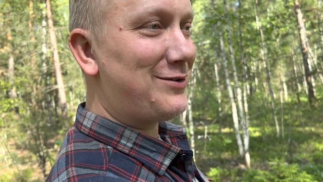Грибная прогулка и дегустация подберёзовиков ! Грибы 2023 !