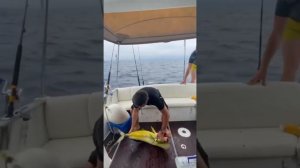 Рыбалка на тунца на о. Сахалин