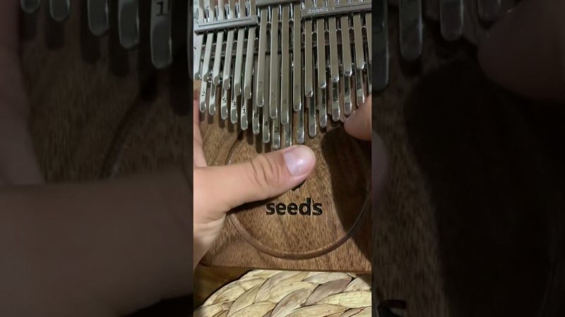 Edvard Grieg's Solveig's Song kalimba