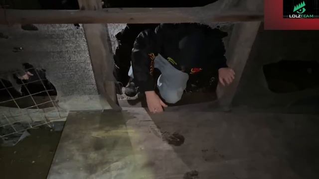 ХАЗЯЕВА ПРОБРАЛИСЬ В ОЧЕНЬ СТРАШНУЮ ЗАБРОШКУ | Кореш, Данила Горилла, Дилблин, Стобан и Ломалмо
