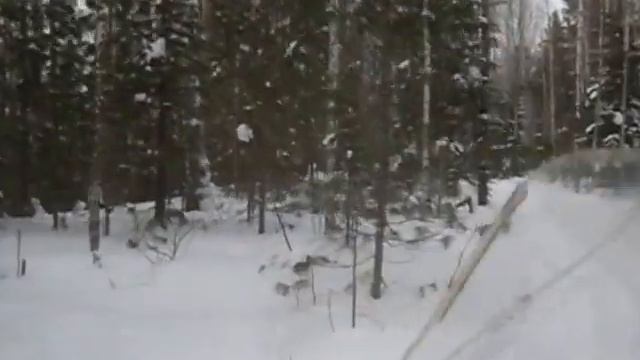 На снежике по лесу смотреть онлайн