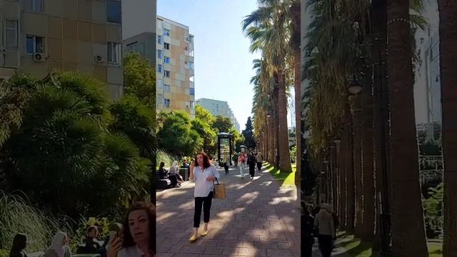 Осенний Сочи. #сочи #адлер #краснодарскийкрай смотреть онлайн