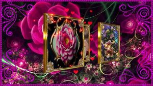 Я подарю тебе розы.