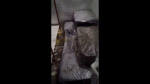 Камера для выращивания шампиньонов.