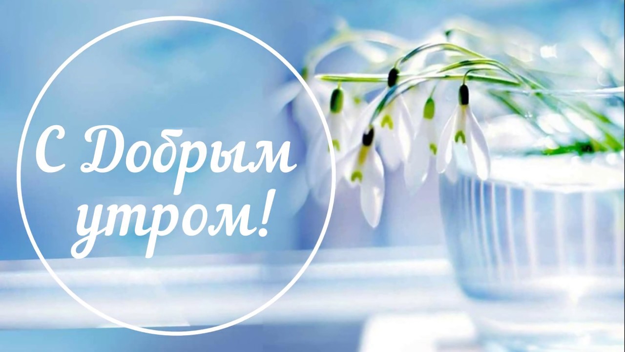 С Добрым утром! Хорошего дня и успехов! Музыкальное видео с пожеланиями удачи!