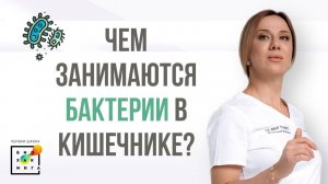 Микробный пейзаж: что это и почему важно поддерживать его баланс?