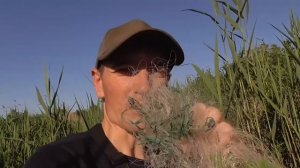 Активный клёв. Рыбы много. Рыбалка на поплавок. Поклёвки крупным планом